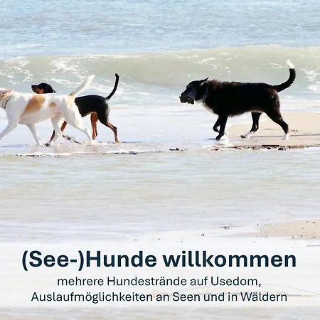 Ursel Heringsdorf (Usedom)