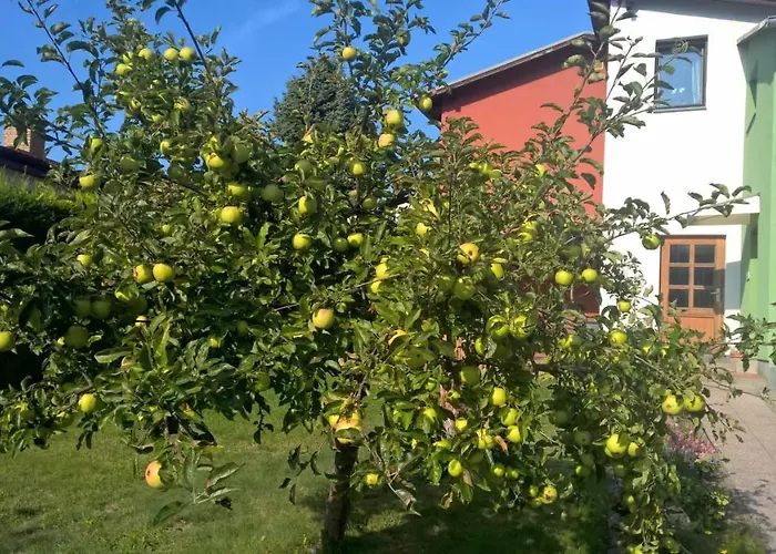 Ursel Habitación en casa particular
