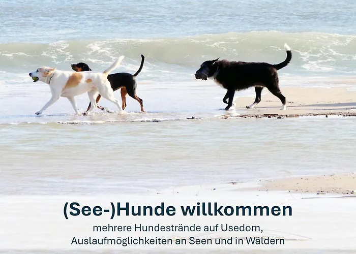 Ursel Heringsdorf (Usedom)